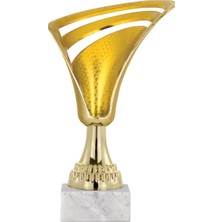 ODAK KUPA - Genel Kupalar - GN-021 A - 21 cm