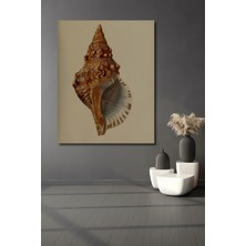 Teona Ahşap Dekoratif Ahşap Dikdörtgen Tablo Deniz Kabuğu