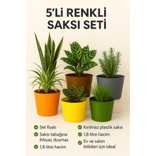 Plant Home Power Mix 5 Adet Renkli Kırılmaz Plastik Saksı Seti | Tabaksız Kullanım | 1,8 Litre | Ev & Salon Için