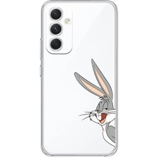 Manitoba Samsung Galaxy A55 Uyumlu Baskılı Yumuşak Silikon Şeffaf Telefon Kılıfı
