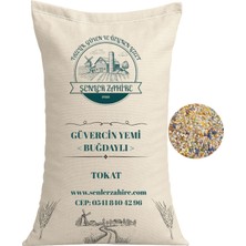 Şenler Zahire Güvercin Yemi - Buğdaylı Karışım