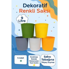 Plant Home Power Mix 5’li 9 Litre Renkli Kırılmaz Saksı Seti + 1 Litre Sulama Hediyeli | Esnek Malzeme – Tabaksız