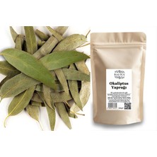 Baltea Okaliptus Yaprağı 100G