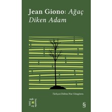 Ağaç Diken Adam - Everest Açıkhava 17