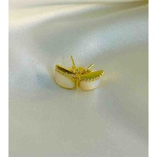 Generic 925 Ayar Gümüş Gold (Altın ) Renkli Kadın Küpe -  Zirkon Taş Model