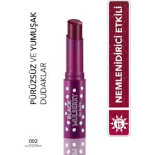 Flormar Tinted Lip Smoother (Blackberry) Containing Shea And Cocoa Butter - Lip Balm - 002 PSSN2595