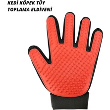 Kedi ve Köpek Tüy Toplama Masaj Eldiveni Dinç Store