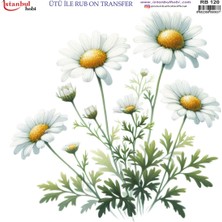 Hayal Sanat Ütü Ile Rub On Transfer Rb 120  30 x 30 cm