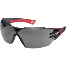 Uvex 9198173 Pheos Cx2 Ir-Ex Gözlük