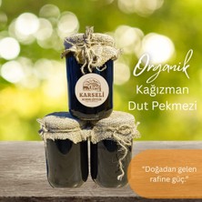 Kağızman Dut Pekmezi