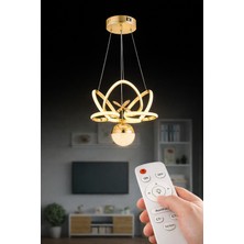 Lotus Gold Tek Toplu Kumandalı Lüks Akgül Avize