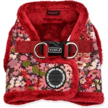 Puppia Gianni Ayarlanabilir Polarlı Göğüs Tasması