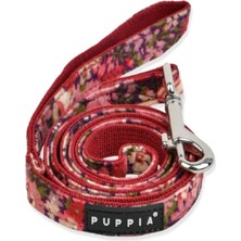 Puppia Gianni Göğüs Tasma Kayışı