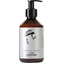 Perfect Shine Anti Hair Loss Erkeklere Özel Keratin ve Pantenol Destekli Dökülme Önleyici Güçlendirici Şampuan 250ML