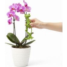 İlk El Grup Kurbağa Şeklinde Bitki Sabitleyici – Bahçe ve Iç Mekan Bitkileri Için Dal ve Gövde Destek