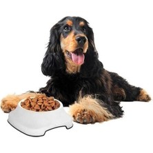 İlk El Grup Silikon Kaydırmaz Taban Plastik Kedi ve Köpek Mama ve Su Kabı 2 L