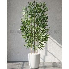 Biçiçek 110 cm Bambu Ağacı Yakut Saksıda