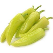 MarkEntegra Biber Çarliston (Çoklu Tohum) - 5 Gram