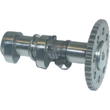 Bajaj Dominar 400 Eksantrik Mili Egzoz (2021-2025) Orijinal