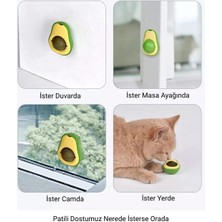 Bi Seyyar Avokado Kedi Nanesi Oyun Topu