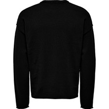 Only & Sons Onskasey Lıfe Ds 5 Crew Knıt Erkek Siyah Kazak - 22026495