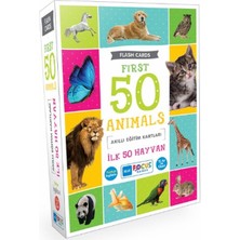 Daphne Mall Blue Focus Ilk 50 Hayvan - Akıllı Eğitim Kartları