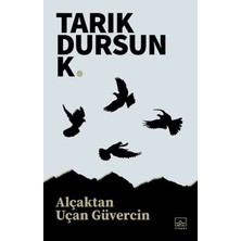 Daphne Mall Alçaktan Uçan Güvercin