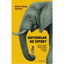 Daphne Mall Hayvanlar Ne Ister?