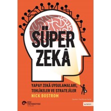 Daphne Mall Süper Zekâ - Yapay Zekâ Uygulamaları, Tehlikeler ve Stratejiler