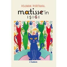 Daphne Mall Matisse'in Işığı