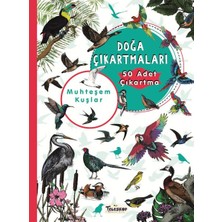 Daphne Mall Muhteşem Kuşlar - Doğa Çıkartmaları