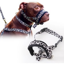 Desenli Köpek Ağızlığı, Havlama ve Çekiştirme Önleyici, Eğitim Tasması