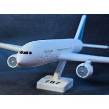 MakinoLab 787 Yolcu Uçağı Maketi - Kendin Yap (Dıy) Kit Kart
