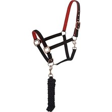 SanalAMCA Store Tough 1 Neopren Dolgulu At Başlığı ve Antika Görünümlü Donanımlı Yular Seti