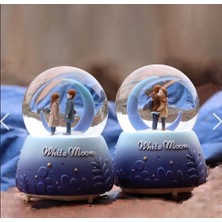 Evolvera Kar Küresi Orta Boy WY20K08