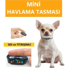 Titreşimli Küçük Köpek Tasması, Şarjlı, Şoksiz, Hafif ve Güvenli Kullanım