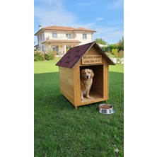 Köpekler Için Doğal Ahşap Kulübe Dış Mekan Köpek Evi