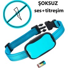 Köpek Eğitim Tasması, Şoksuz, Pilli, Güçlü ve Güvenli Tasarım