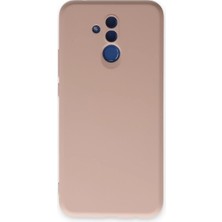 Evolvera Huawei Mate 20 Lite Kılıf Nano Içi Kadife Silikon - Pudra