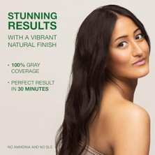 Naturigin Organik Içerikli Saç Boyası 2.3 Abanoz