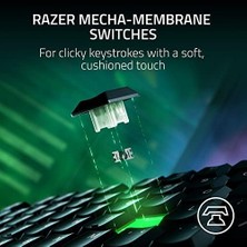 Ornata V3 Tenkeyless - Kompakt Düşük Profil Oyun Klavyesi (Meka-Membran Anahtarlar, Özel Medya Tuşları, Manyetik Yumuşak Dokunuşlu Bilek Desteği) Tr Düzeni | Siyah