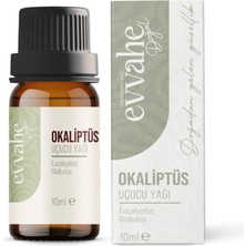 Okaliptus Yağı (10 Ml)