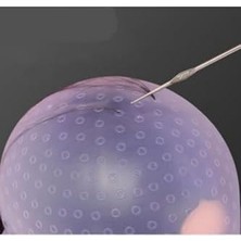 Gaman Silikon Saç Boyama Bonesi Delikli Röfle Bonesi - Tiğ Hediyeli Rengarenk Saçlar Için Röfle Bone Pembe