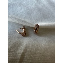 Luckyb Store Rose Taşlı Burgu Çelik Küpe