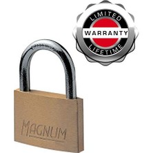 CAD40T 2 Adet Masif Pirinçten Yapılmış Anahtarlı Büyük Asma Kilit Paketi, Altın Rengi, 5,4 x 4 x 1 cm