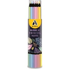 Blackline Pastel Renkler Boya Kalemi 12 Renk