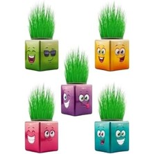 Çim Adam Çimoji 32'li Renkli Küp Şeklinde Çimadam Çimoji