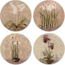 AS465 Blumen Emici Altlık ile Spor Ayakkabısı, 4 Adet