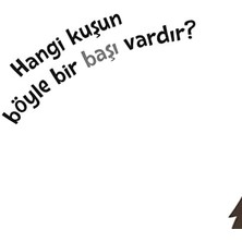 Tepeden Kuyruğa - Kuşlar