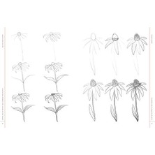 Draw Like An Artist: 100 Flowers And Plants: Step-By-Step Realistic Line Drawing * A Sourcebook For Aspiring Artists And Designers: Volume 2